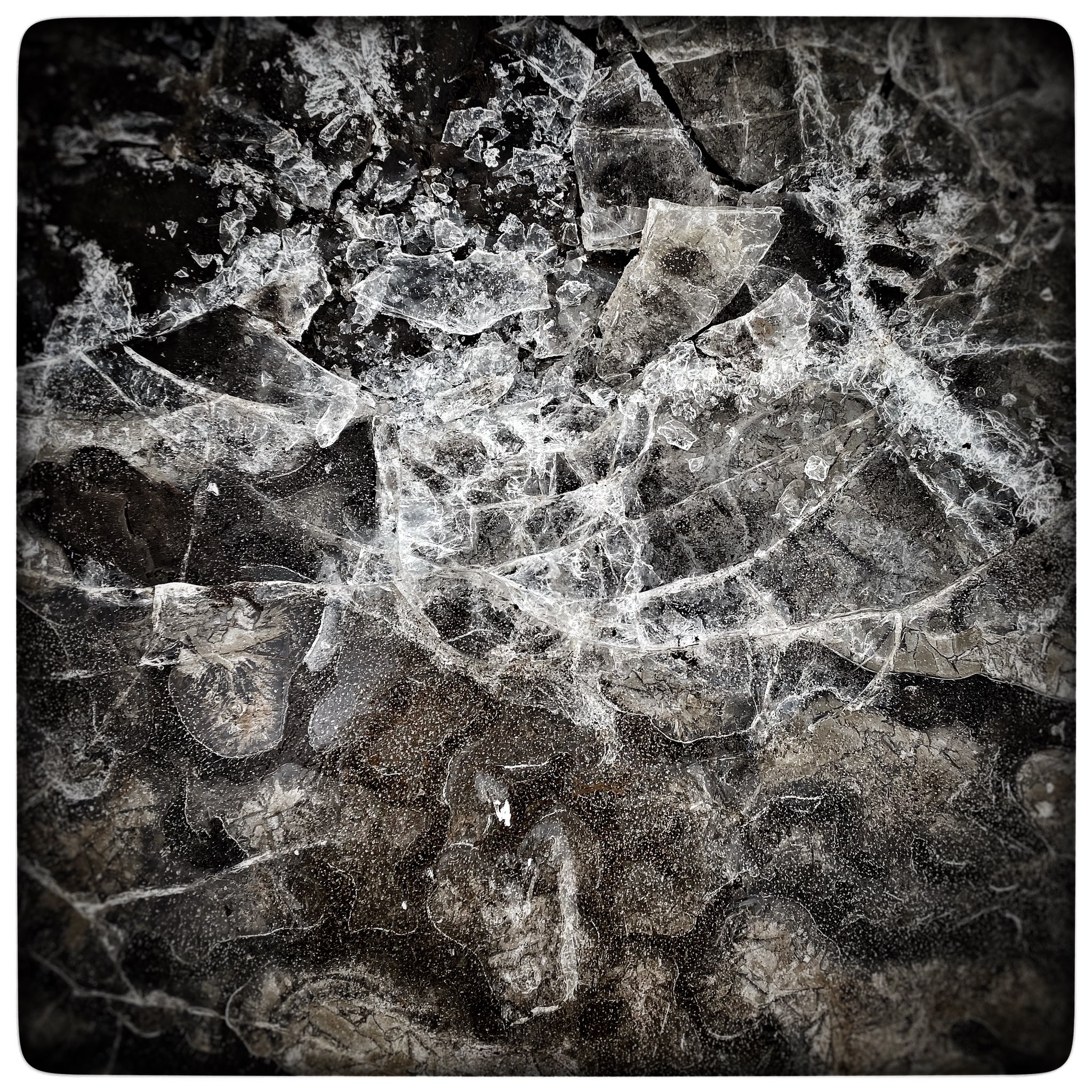 I paint the things I want to see