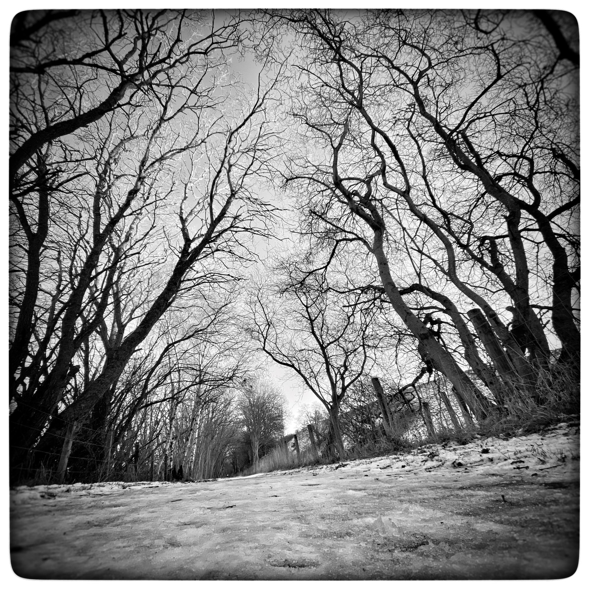 The miracle that was promised creeps quietly by