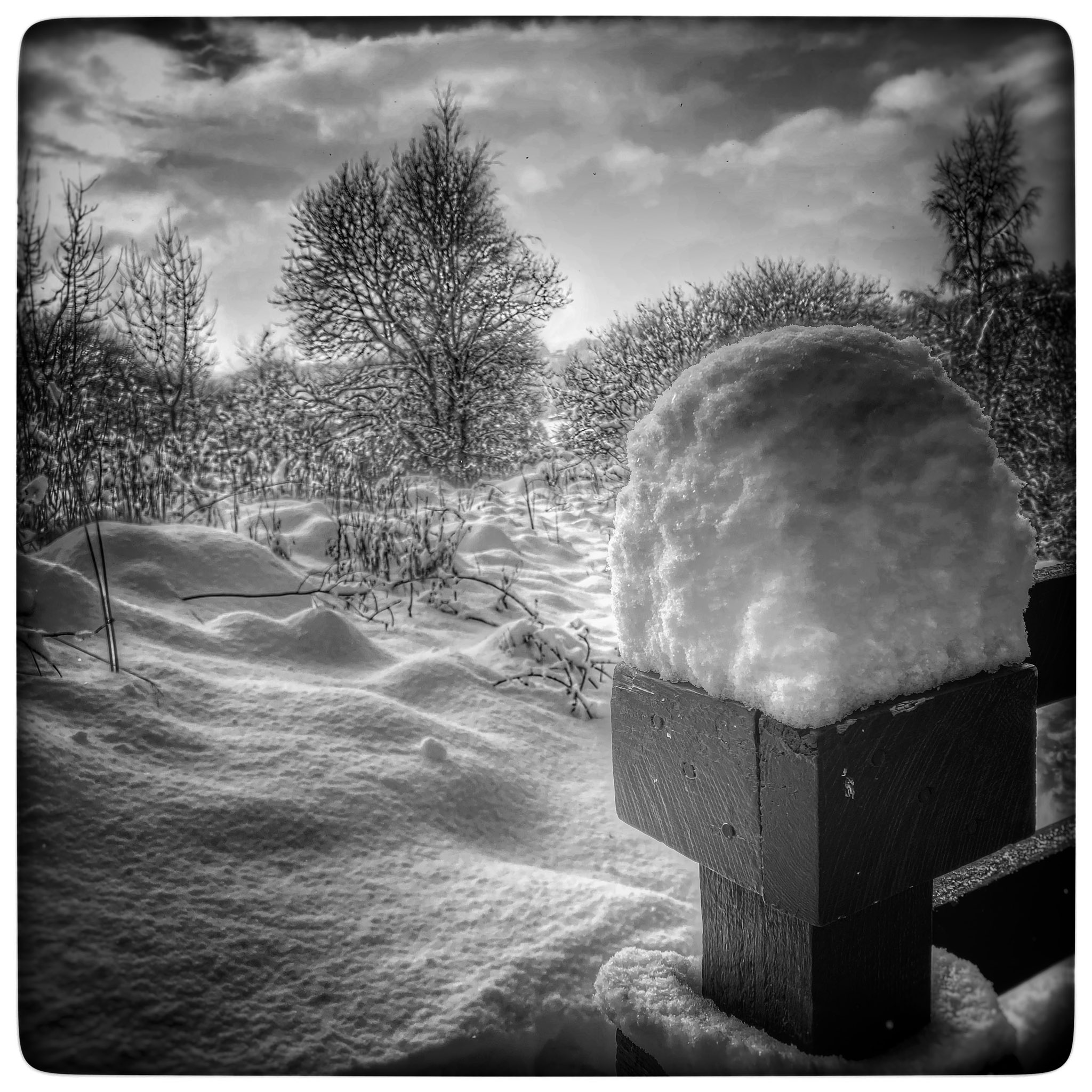 Performing (like a primate)