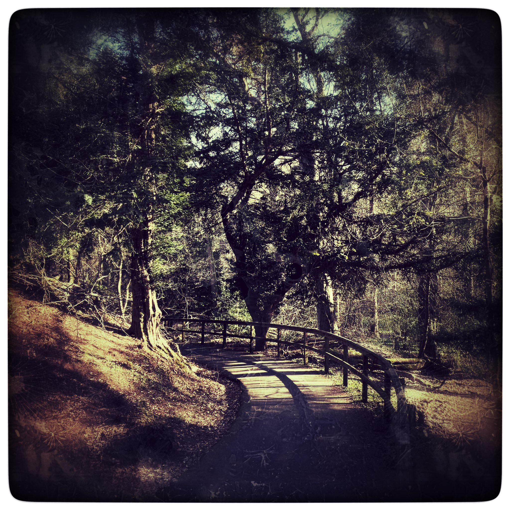 4:58am Dunroamin, Duncarin, Dunlivin