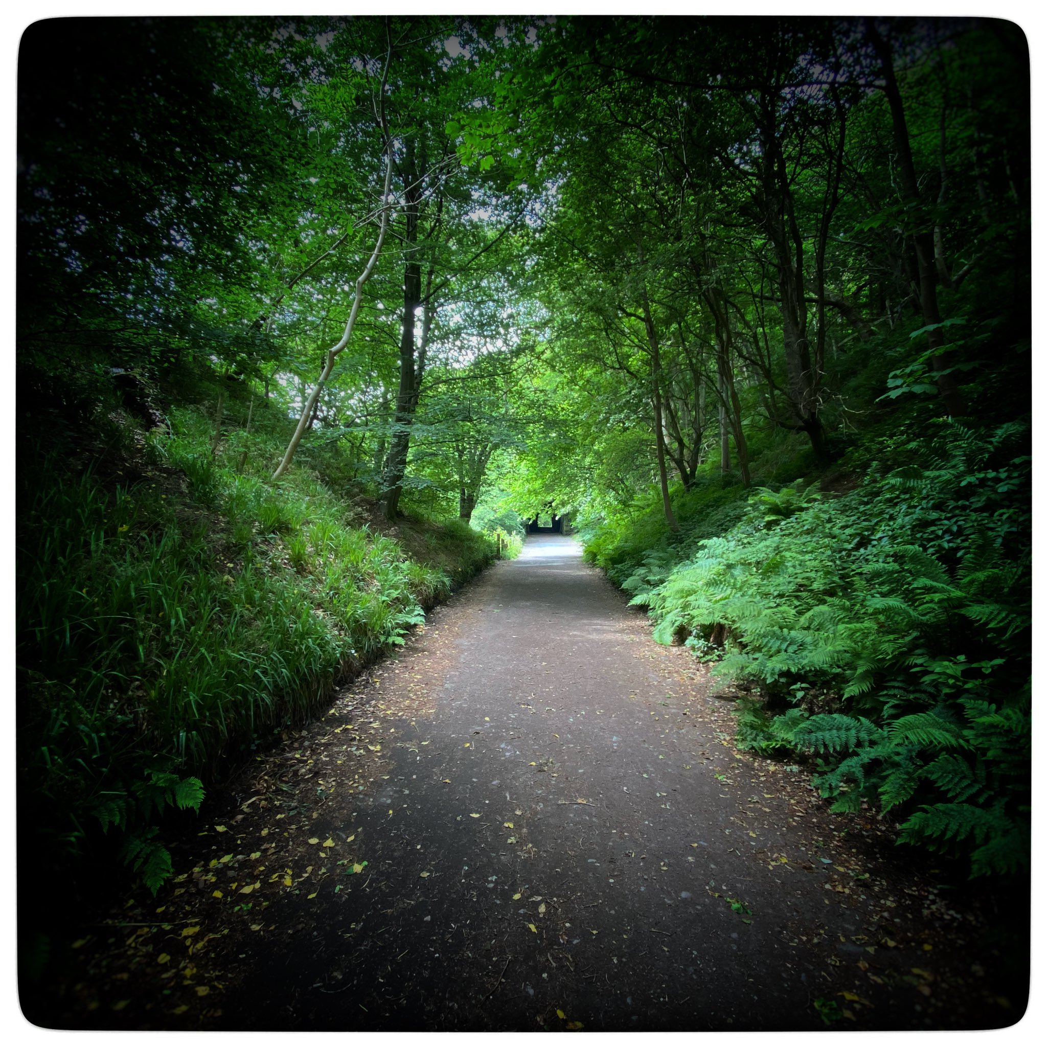 Loneliness is cleanliness