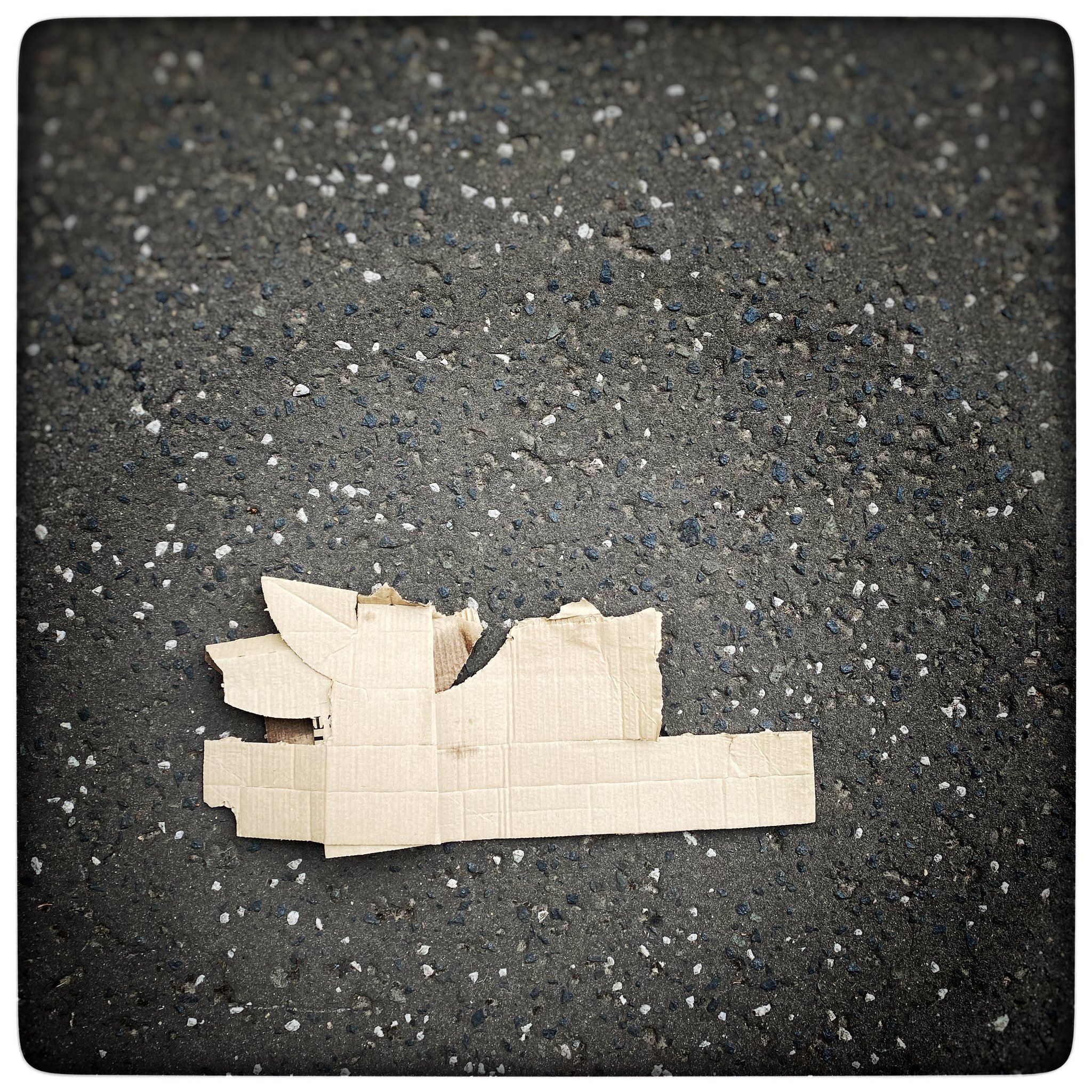 What is lost can never be saved