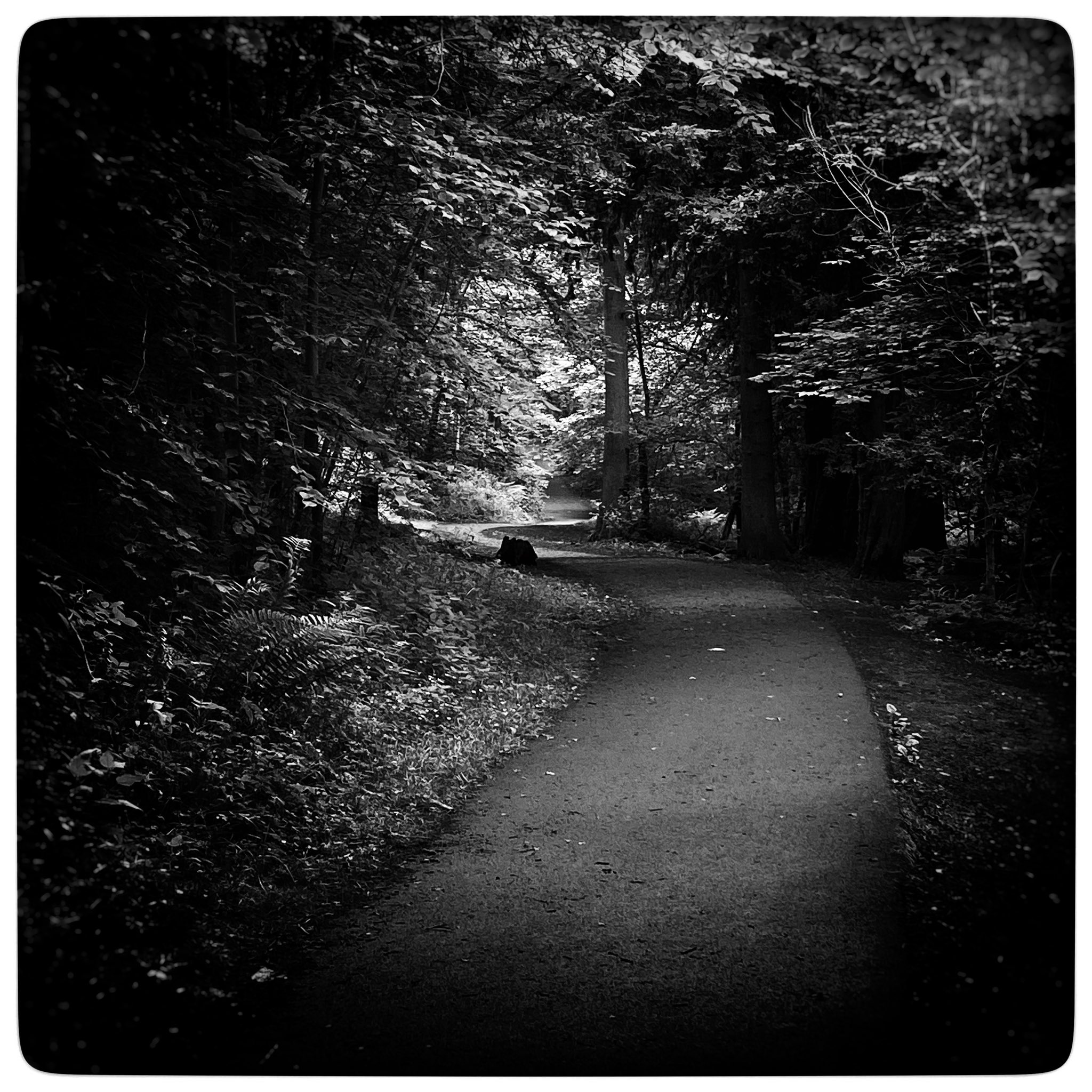 Returning with an evening