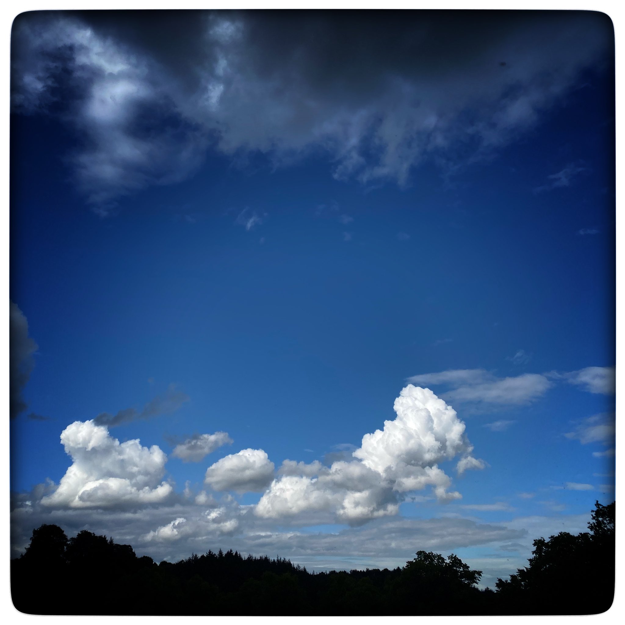 The drone of lawnmowers