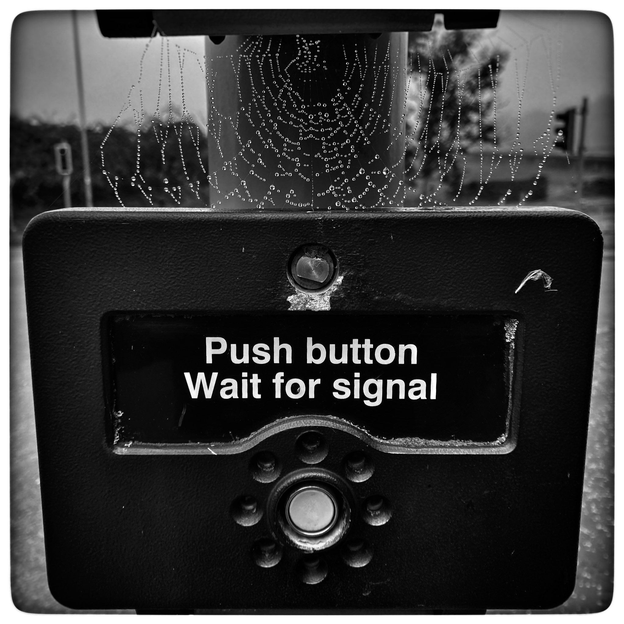 Buttons pushed