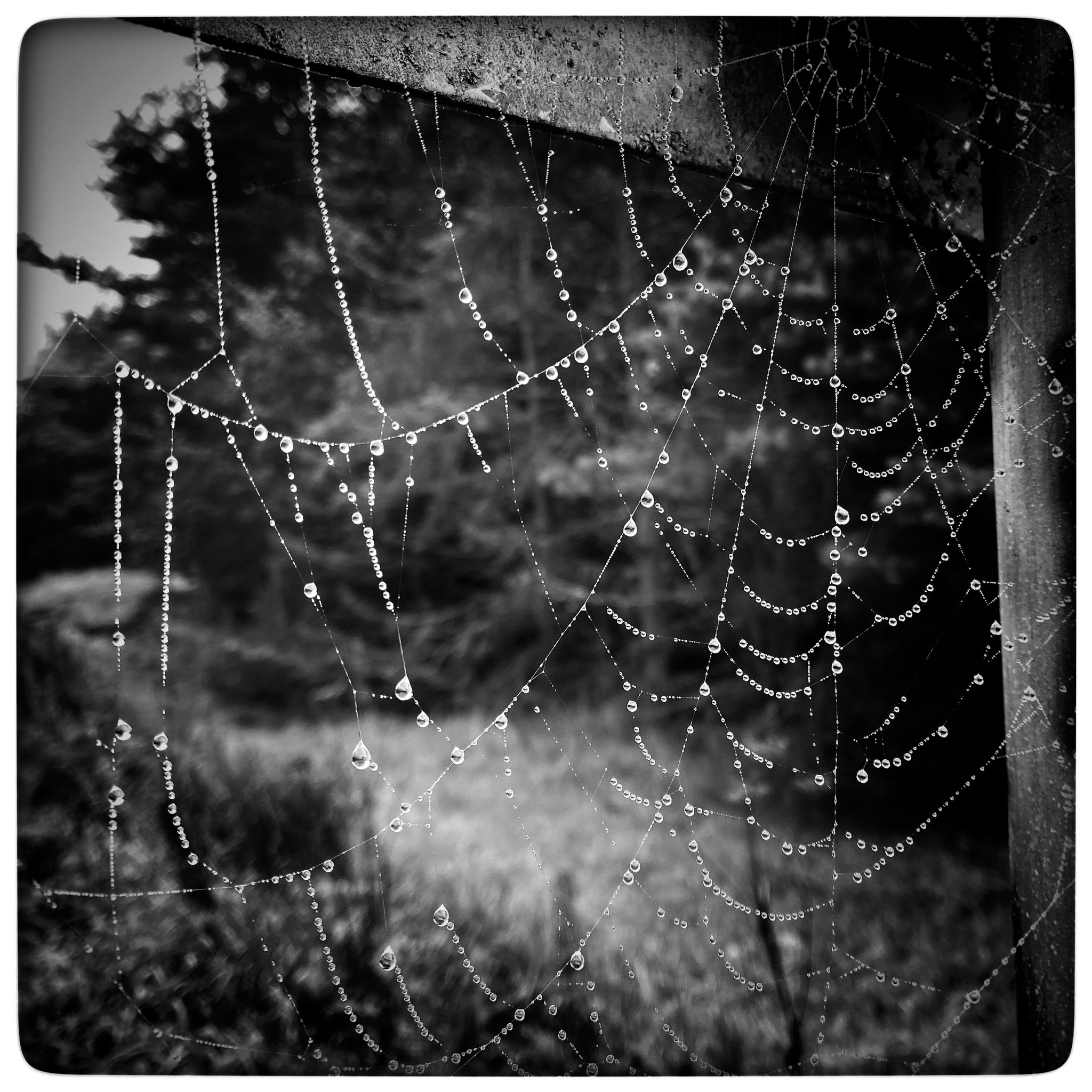 When will you admit the pattern?