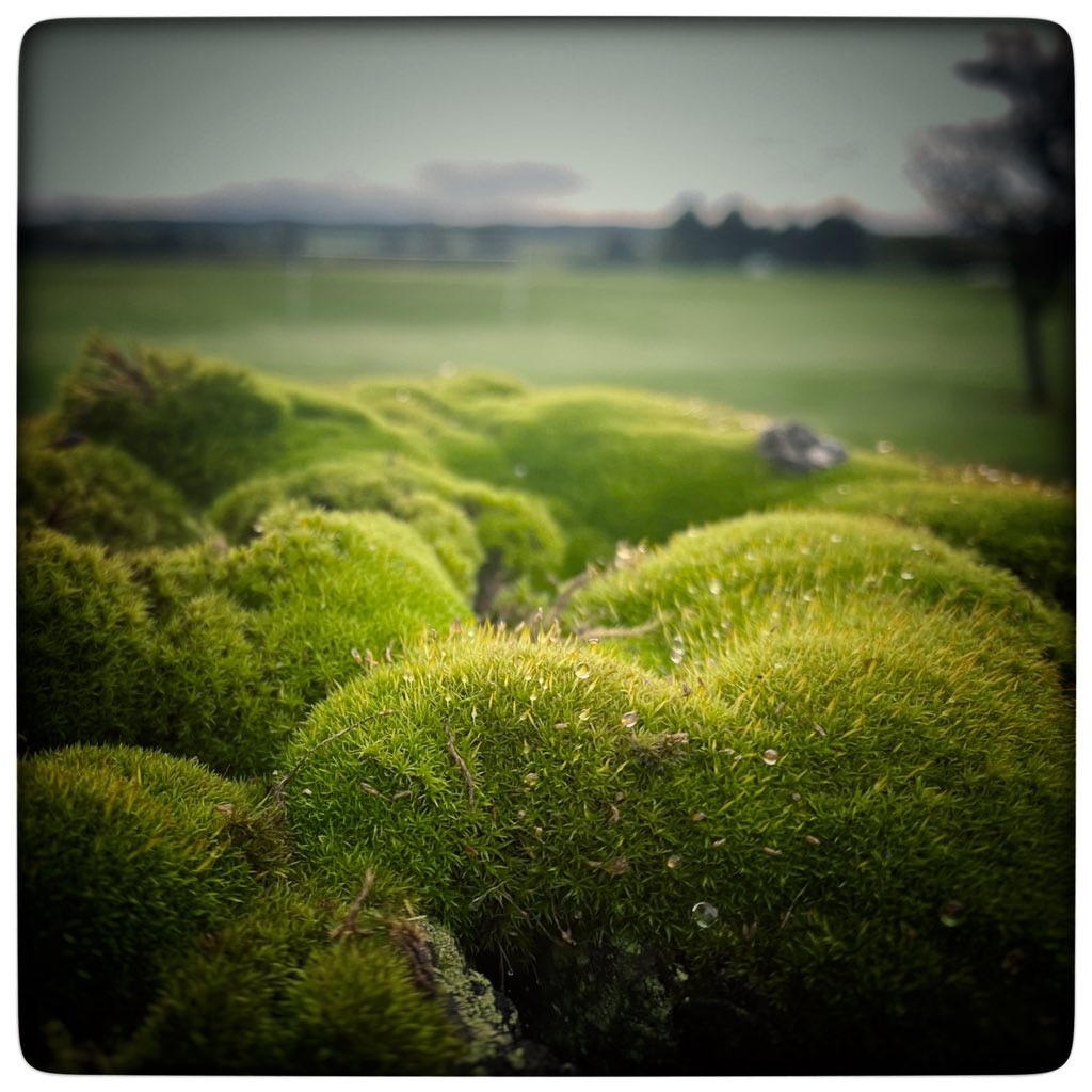 That was a beginning