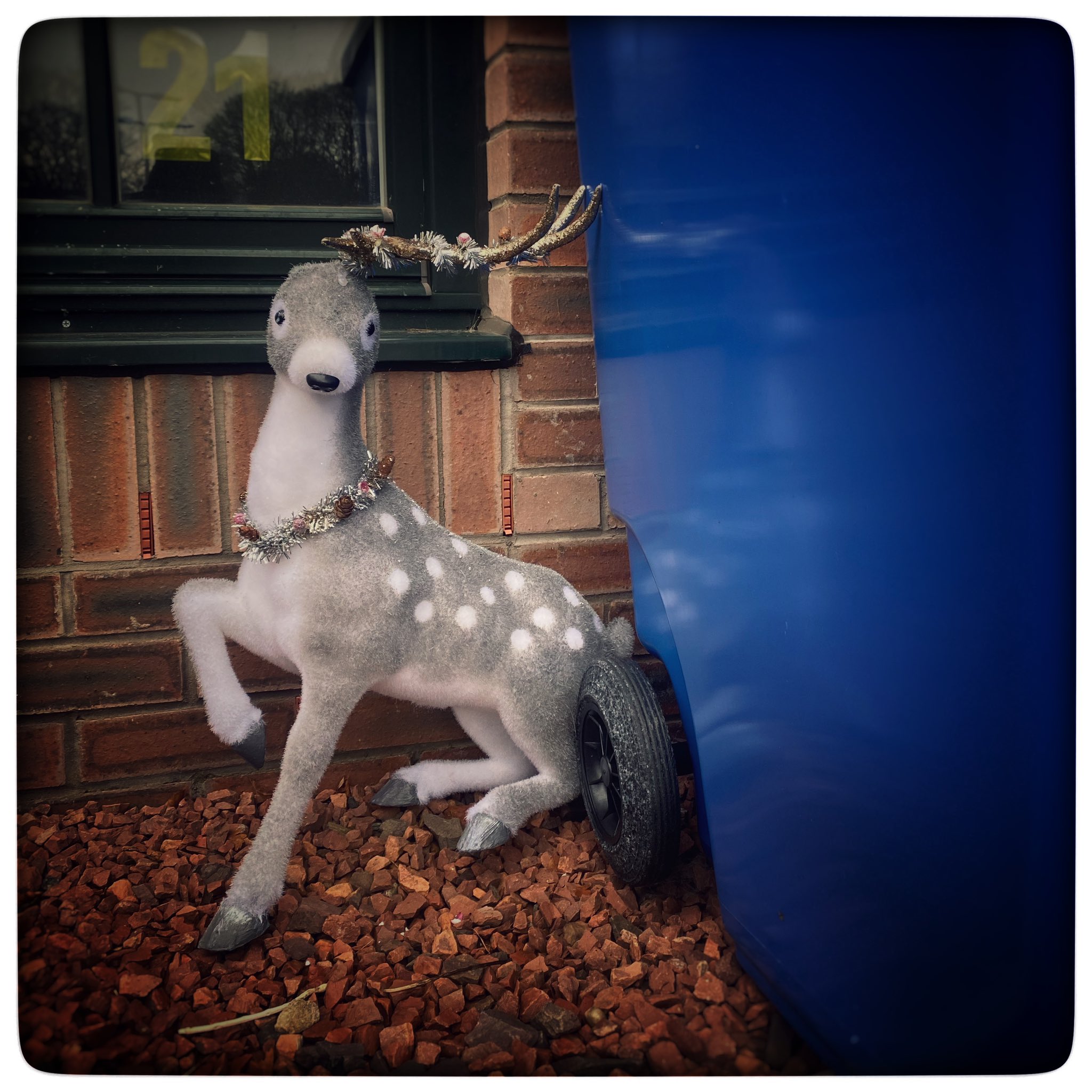 Another Boxing Day discard