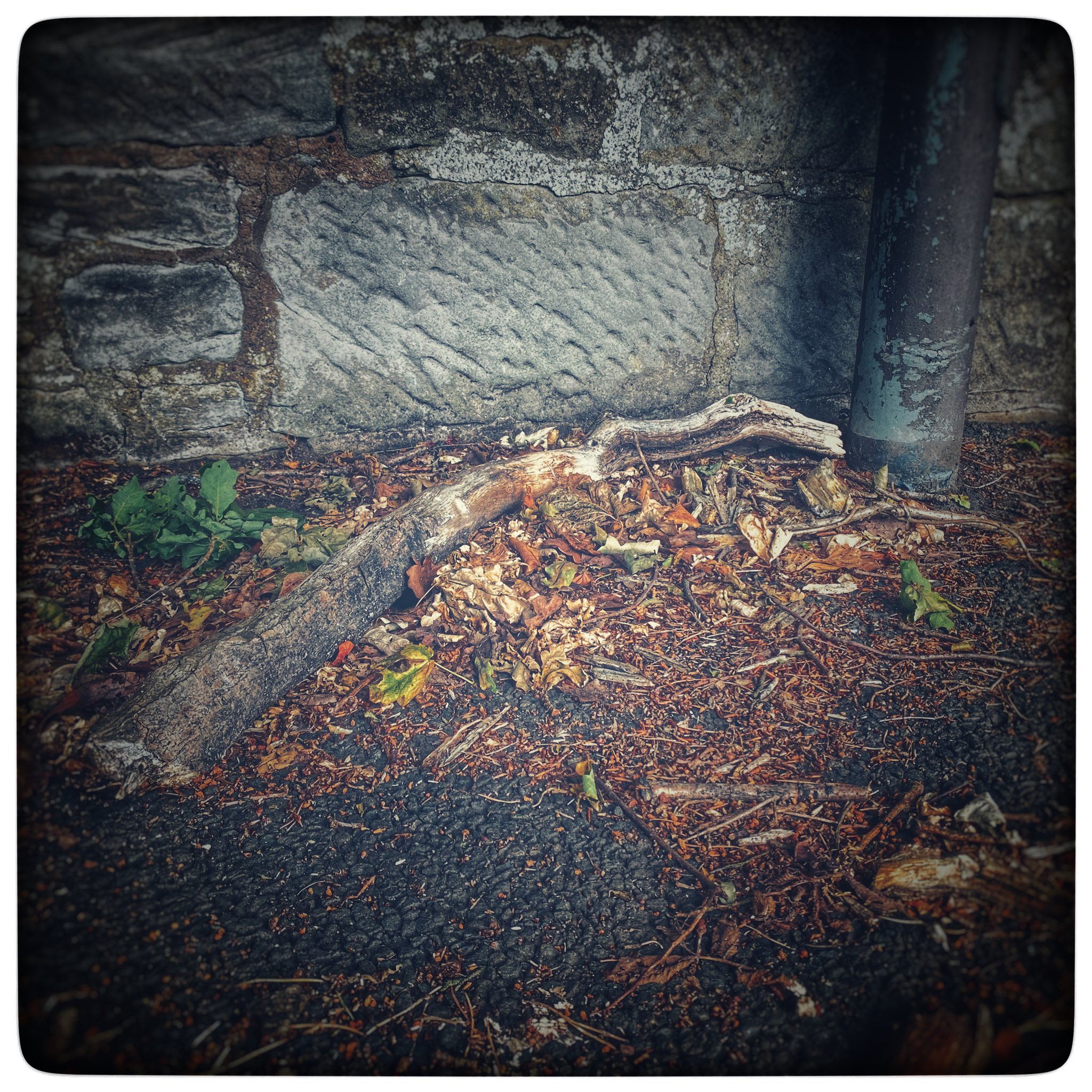 They'll always be allergic to happiness