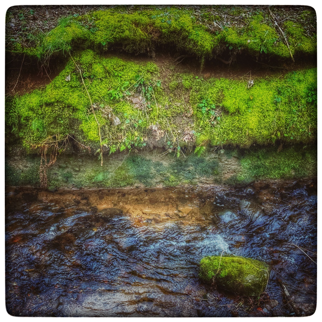 I recognise the weapons