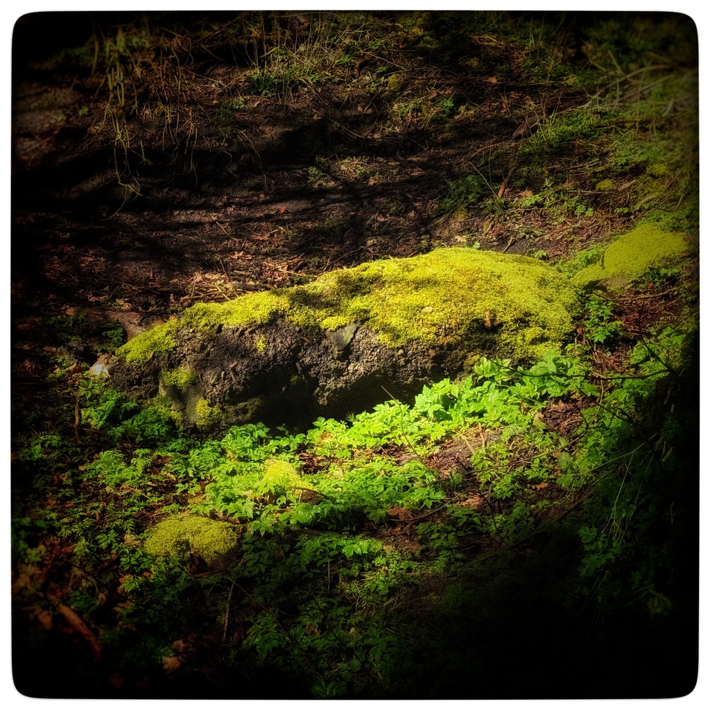 Subjugated by perfection