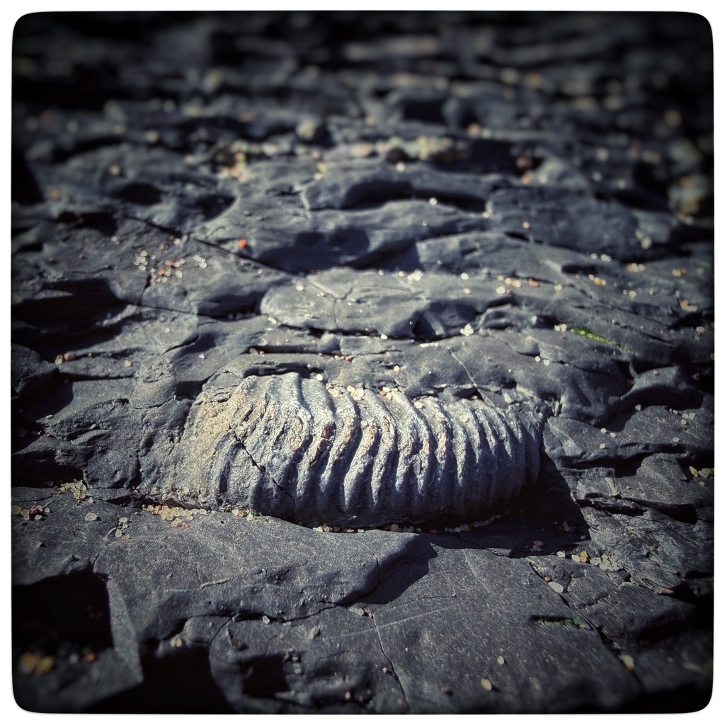 The past that's gone